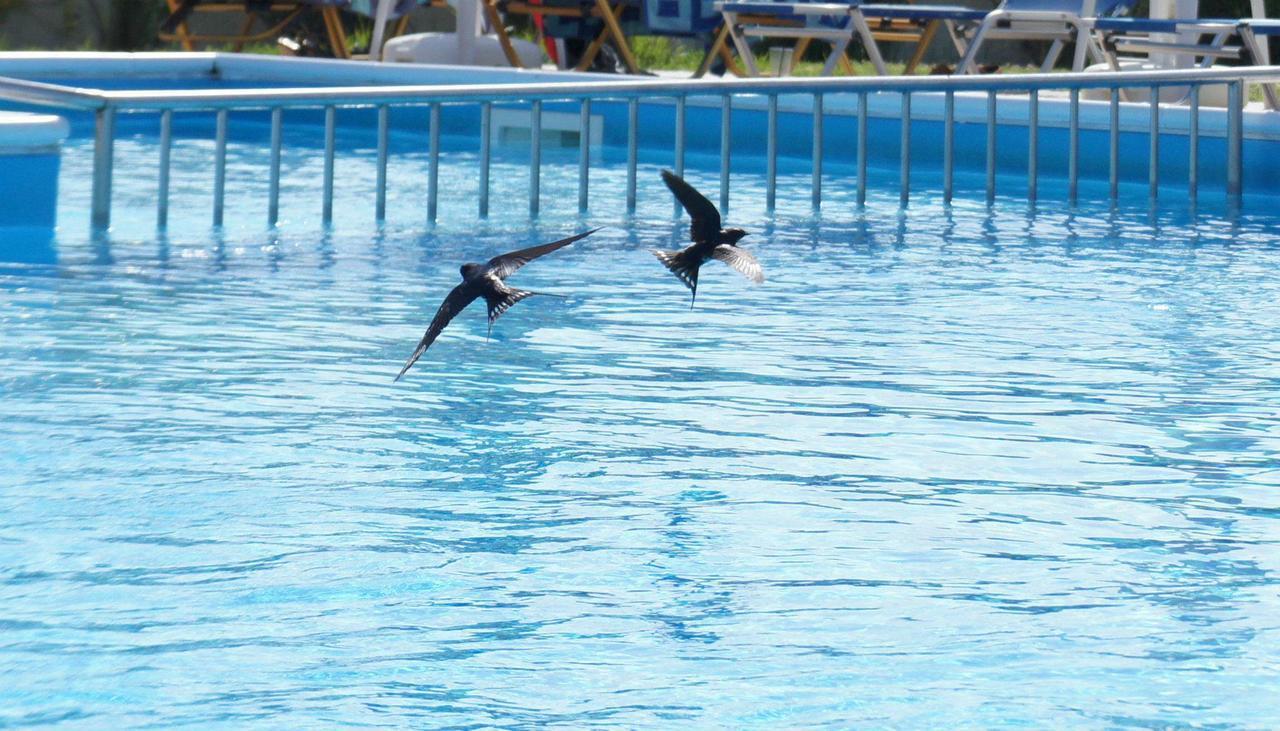 Egrypos Hotel Μπούκαρι Εξωτερικό φωτογραφία